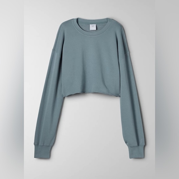 TNA Tops - TNA Airy Fleece Boyfriend Cropped Sweatshirt